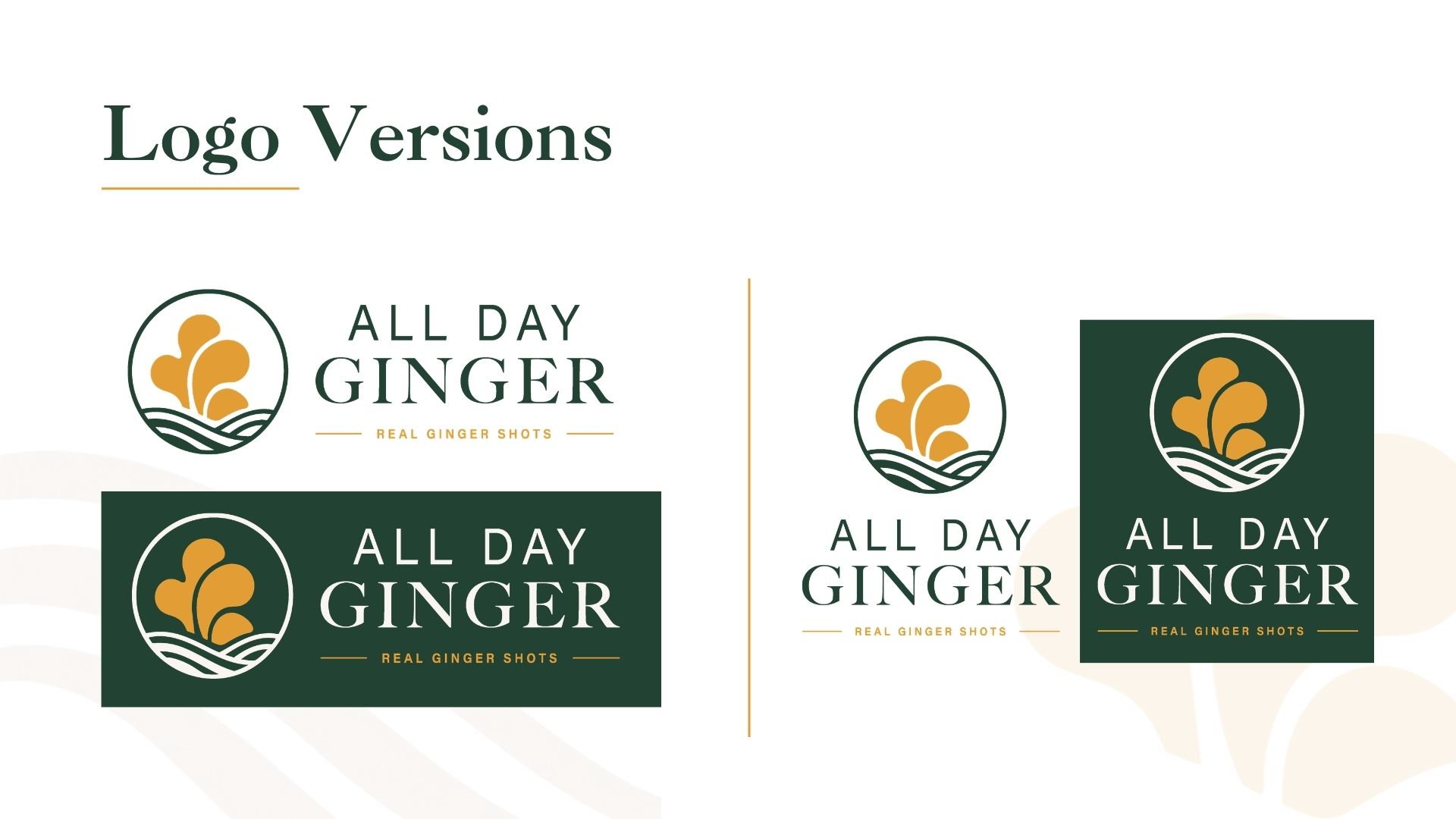 All Day Ginger brand identity — system detail 04